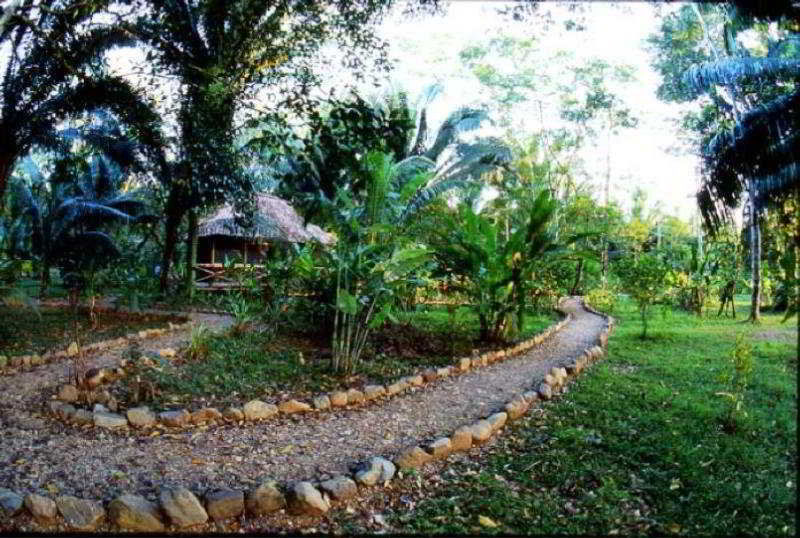 Ian Andersons Caves Branch Jungle Lodge Belmopan Eksteriør bilde