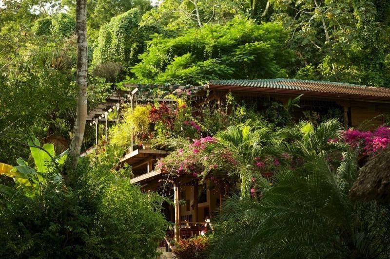 Ian Andersons Caves Branch Jungle Lodge Belmopan Eksteriør bilde